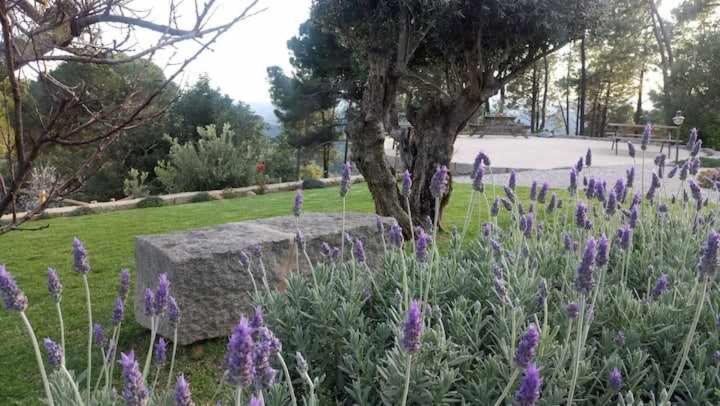 Villa Quinta Da Idalina Monchique Exterior foto