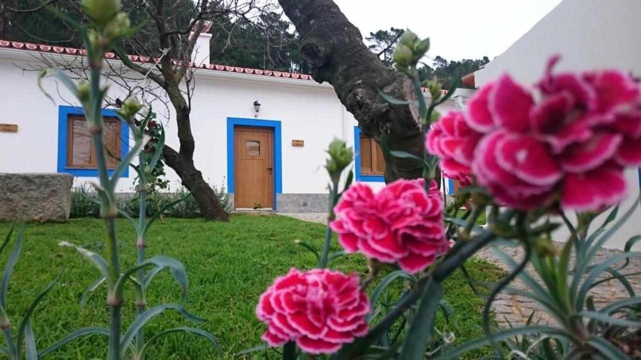 Villa Quinta Da Idalina Monchique Exterior foto