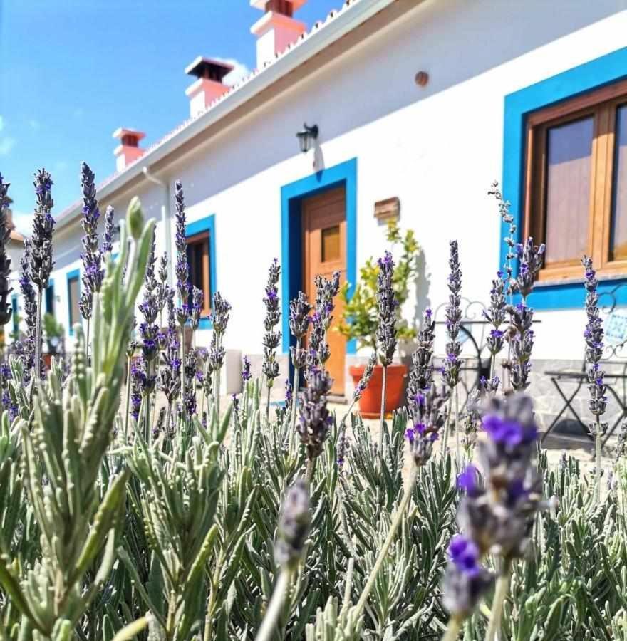 Villa Quinta Da Idalina Monchique Exterior foto