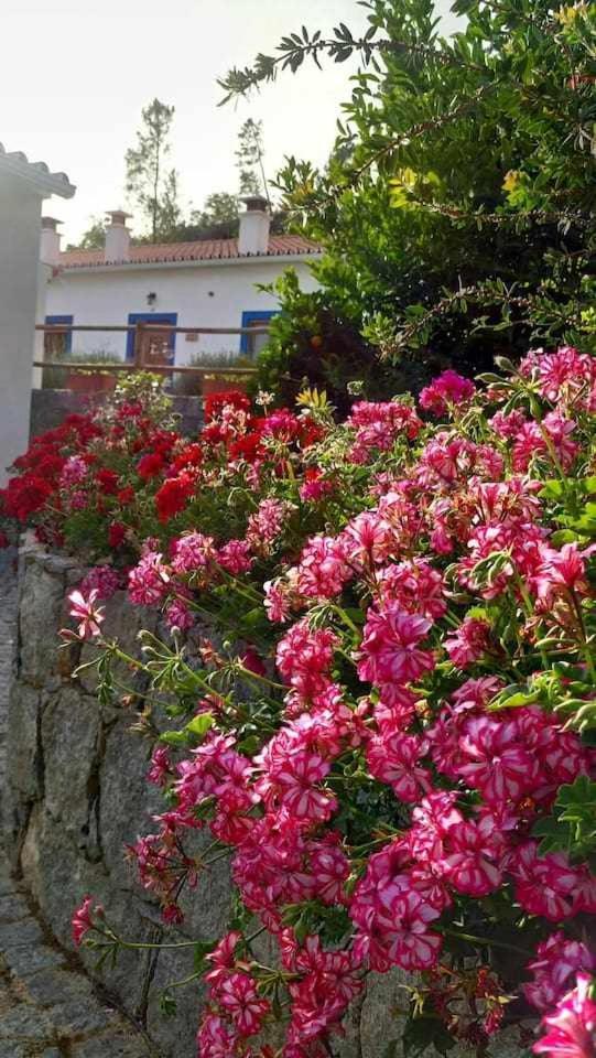 Villa Quinta Da Idalina Monchique Habitación foto
