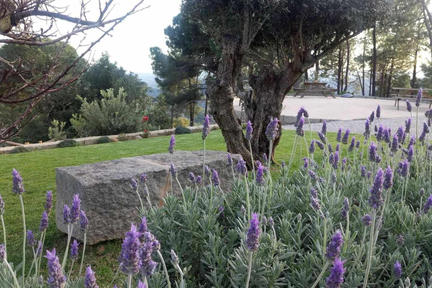 Villa Quinta Da Idalina Monchique Habitación foto